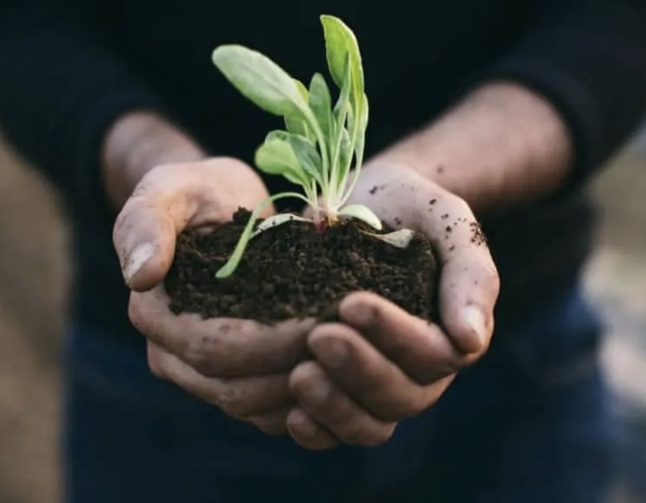 On the surface, it can be incredibly daunting to reduce your environmental footprint, especially when you see that others around you are not doing their part. But when you break it down into small steps, you realize you have more power than you thought.