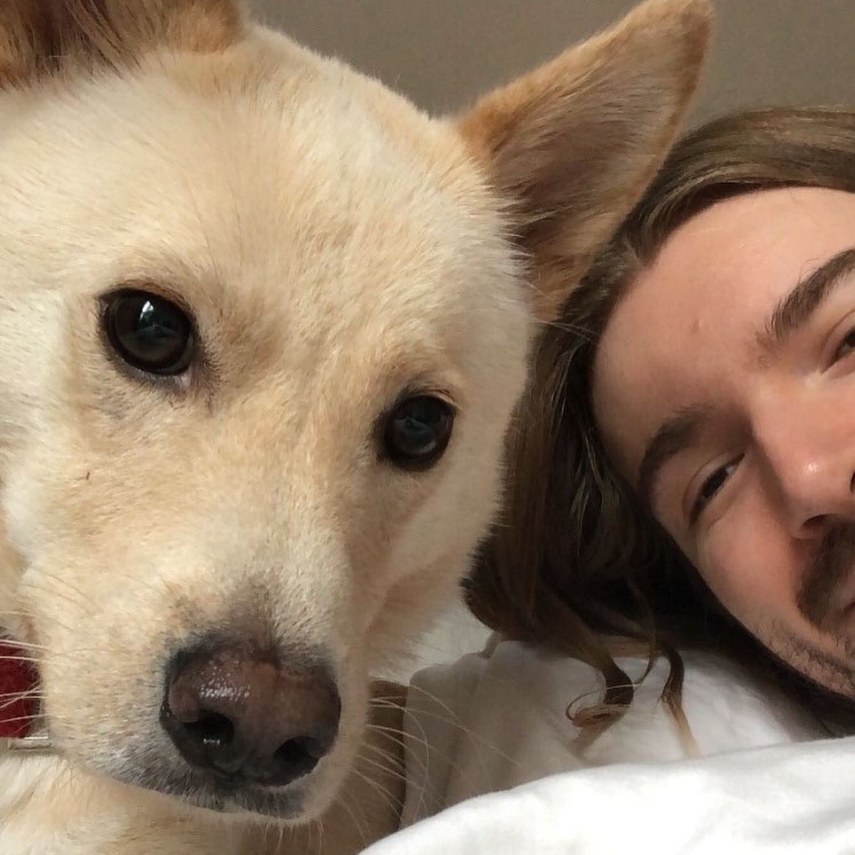 Hello to all the wonderful people, and what the heck - to all the haters too!Charlie &amp; I wish you all the best day ahead ❤️