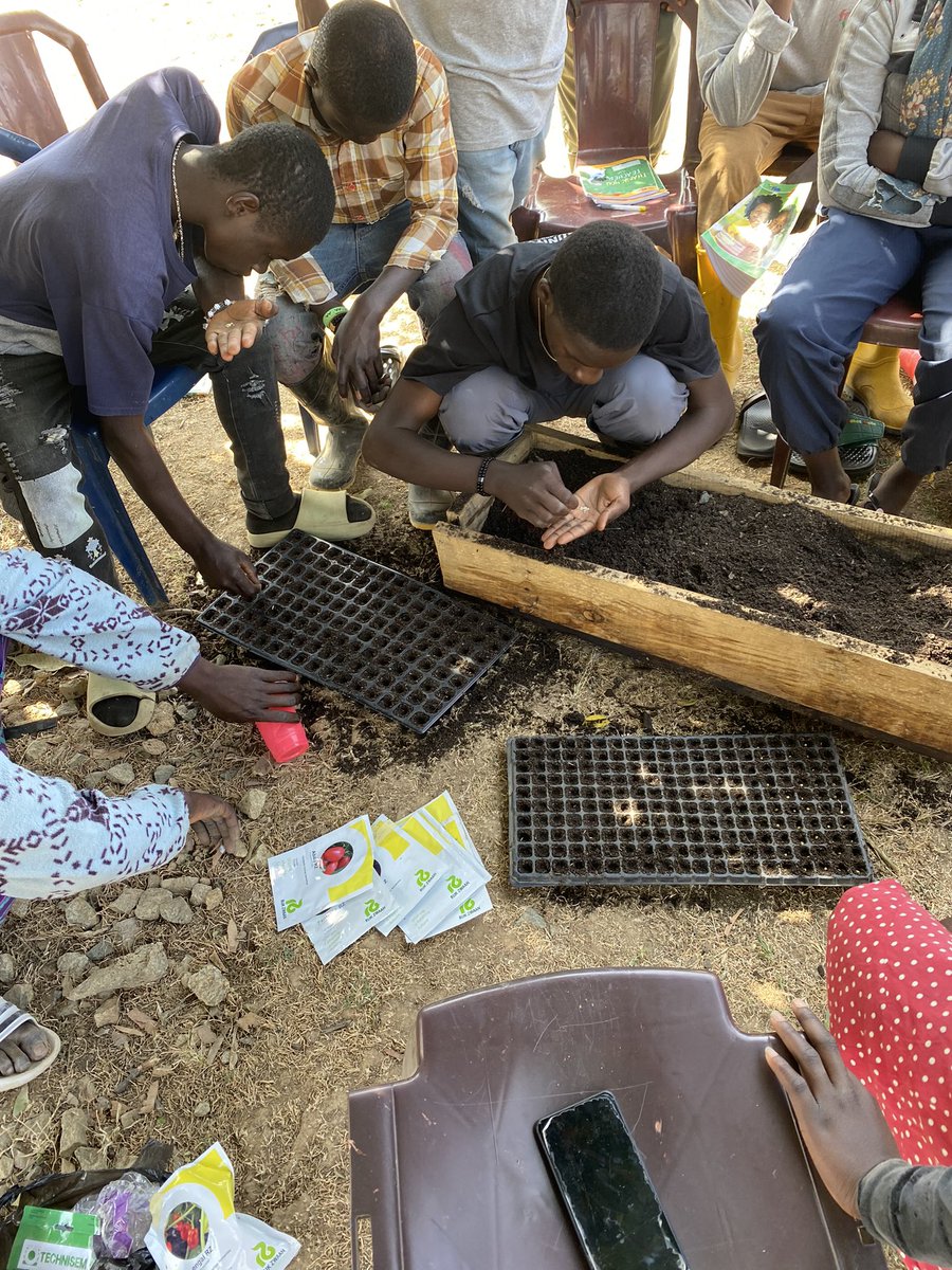 deliot8's tweet photo. I had an amazing time with the young farmers, my great students today 🧑🏾‍🌾

We sowed carrot, radish, tomato, habanero, aubergine, red cabbage &amp; green cabbage seeds.
They are picking up very fast! I can’t wait for them to become pro farmers 😊

Sustainable agriculture to the world🌱 https://t.co/2qOVyqC4ec