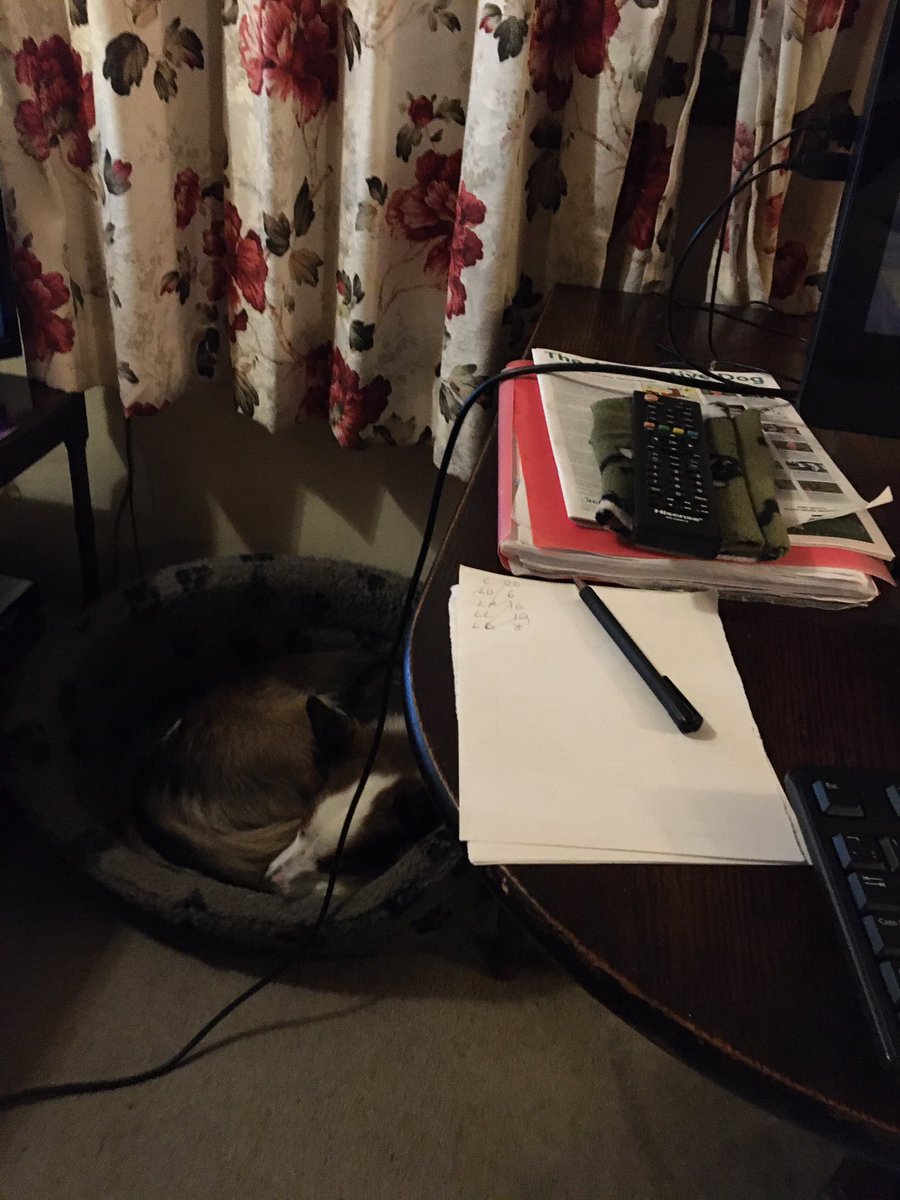 squirrelnemesis's tweet image. Am helping my hoomin doin her working from home 
#supportdog