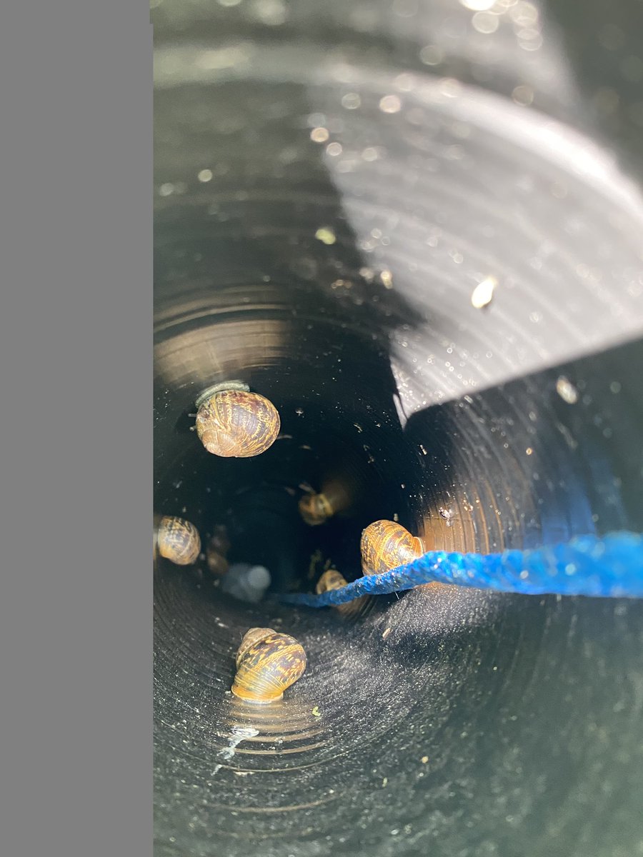 It may be dark and dull outside but spring is just around the corner. Here are our #DigitalNature learners <a href="/ManAdultEd/">Manchester Adult Ed.</a> exploring the outdoors and using digital skills for wellbeing #DigitalNatureBasket #NatureApps #DigitalSkillsForLife #ThisIsDigitalInclusion