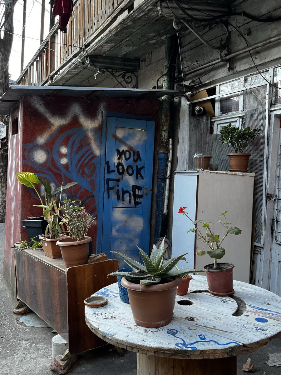 TbilisiPhoto's tweet image. #youlookfine #tbilisi