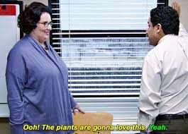 BroadcastSarah's tweet photo. I always turn into Phyllis Vance on rainy days like this. https://t.co/oNT5BZmG1c
