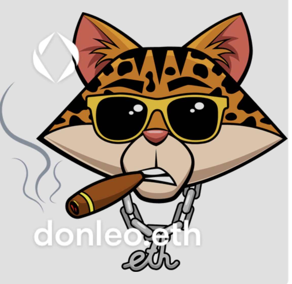 OfficialEthNerd's tweet photo. Wondering if you guys are going to assign a name to your ENS CAT 2023. I just did. Would love to see how creative you guys can get. #ens #enscat #leo #donleo https://t.co/7mj0SNyNxG