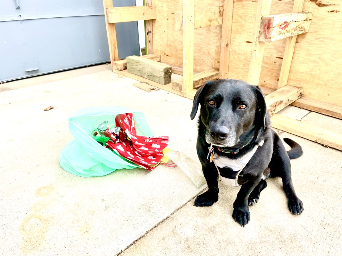 jakobkurtis720's tweet image. #trashtag #Denver #pickedup a couple of pounds of #litter today. Always good to have less #plasticpollution in our #waterways. #earthcleanup #onetonnechallenge #zerowaste #plogging