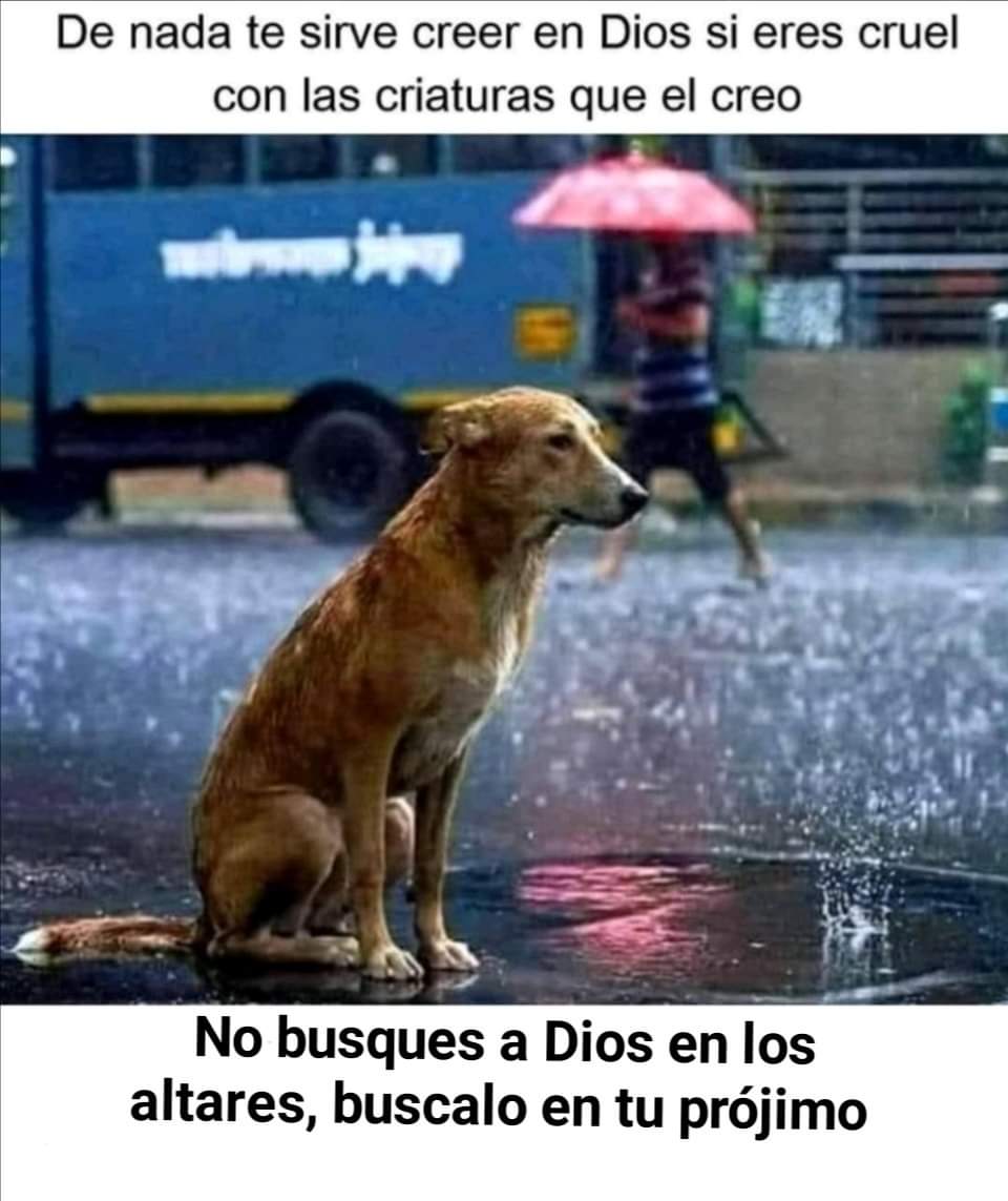 Leonidas Proaño Monroy on X: "Tengo Corazón de animal https://t.co/LvCY8b9NAe" / X