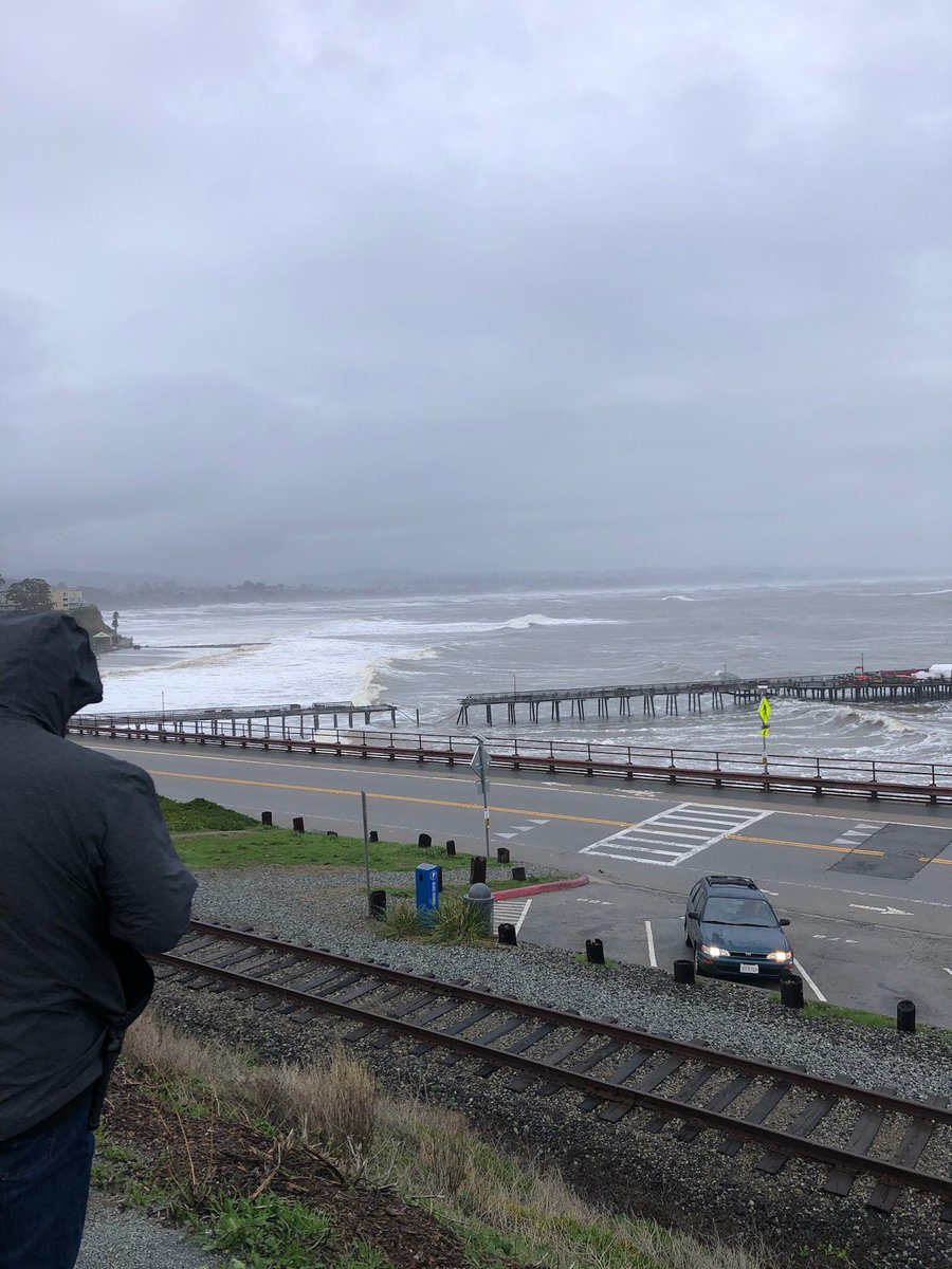 Grace Harrison tweet media