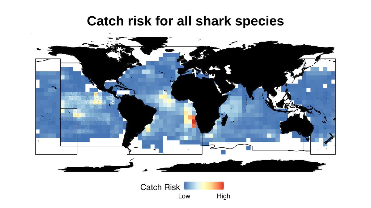 Sharks continue to be threatened by overfishing. In a new <a href="/FrontMarineSci/">Frontiers - Marine Science</a> paper, we identify global hotspots of shark interactions with industrial longline fisheries to aid in spatial management strategies for threatened populations frontiersin.org/articles/10.33…