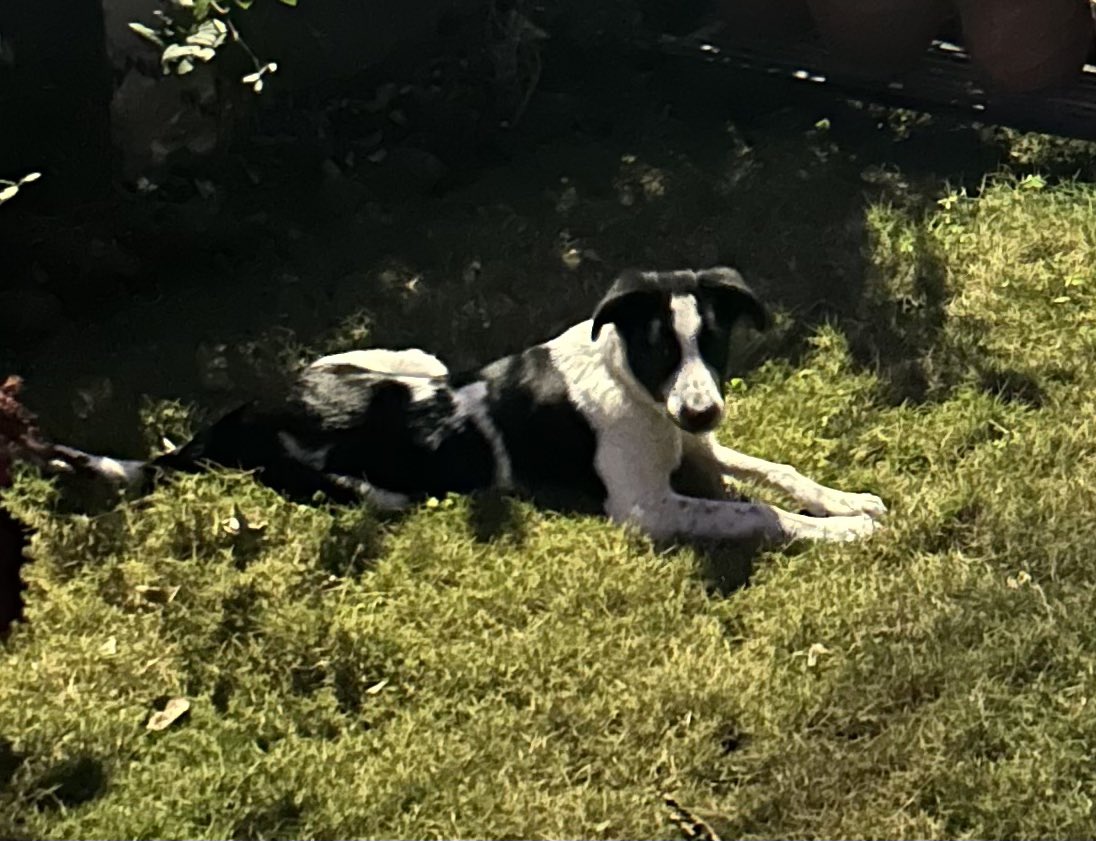 Ⓜⓐⓡⓖⓘⓝ ⓒⓐⓛⓛ tweet media