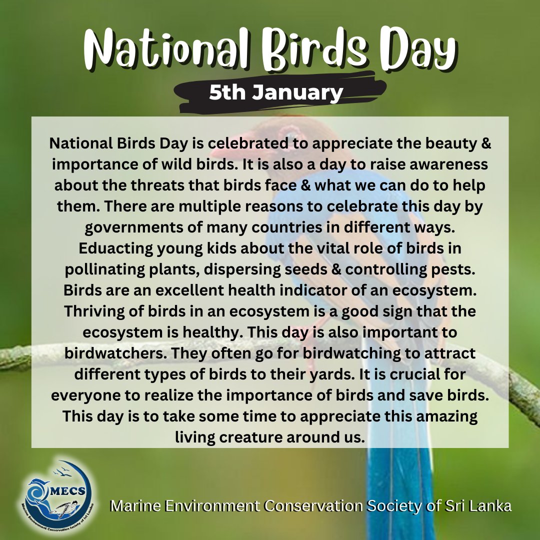 National Birds Day
5th of January
🐦🐦🐦🐦🐦
#NationalBirdDay #MECS