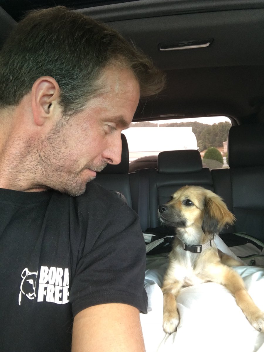 As long as there are rescues who need adopting, I’ll truly never understand why it’s even legal to breed, sell or buy dogs and cats. #AdoptDontShop 
🙏🏼💚🐶💚🐱💚
#DogsofTwitter #rescuedog