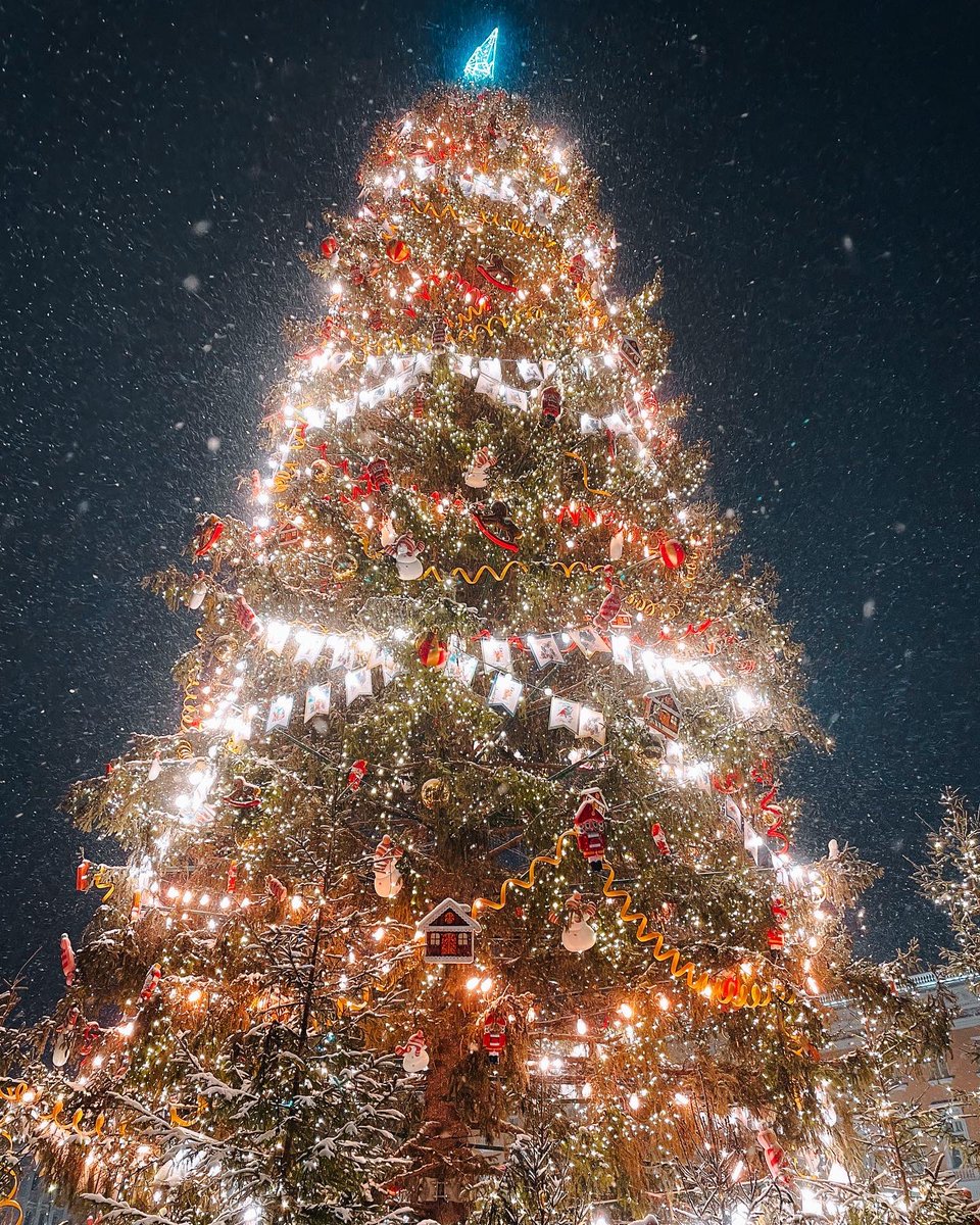 A magical day✨🎄