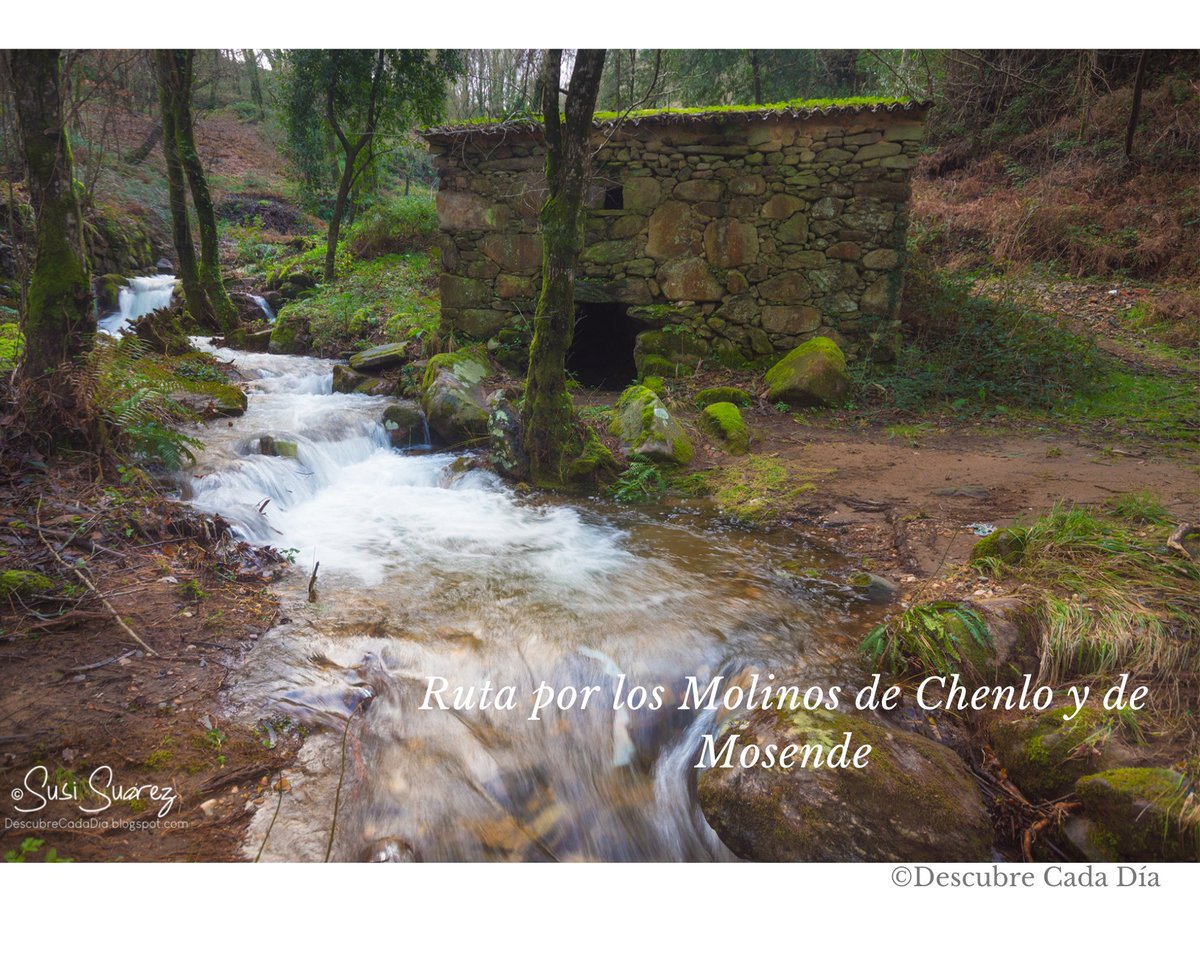 Tras las lluvias abundantes que hemos tenido, nuestros montes están espectaculares 🌳🌲 Os invito a recorrer los Molinos de Mosende y Chenlo en el Concello do Porriño 👉👉 descubrecadadia.blogspot.com/2023/01/molino…