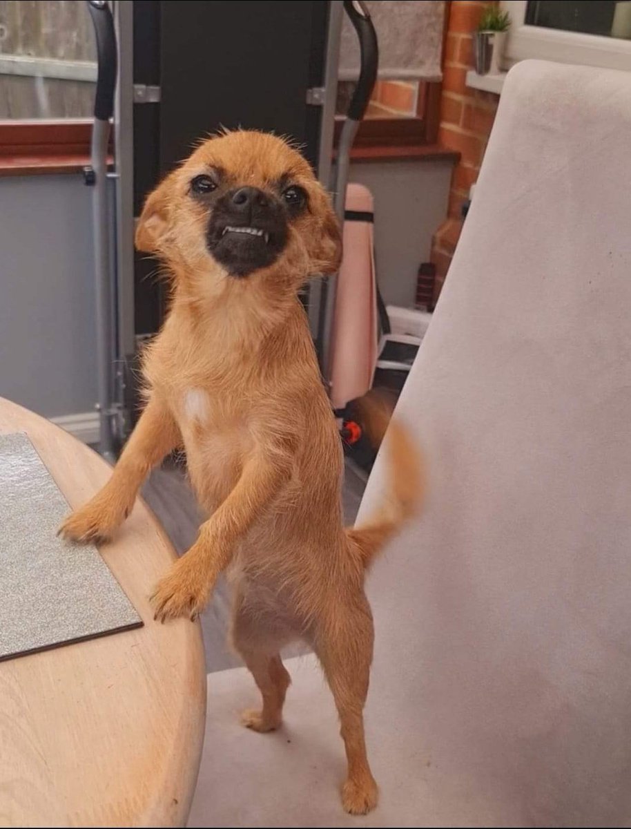 BurrettL🐝 | ⚡️ tweet media