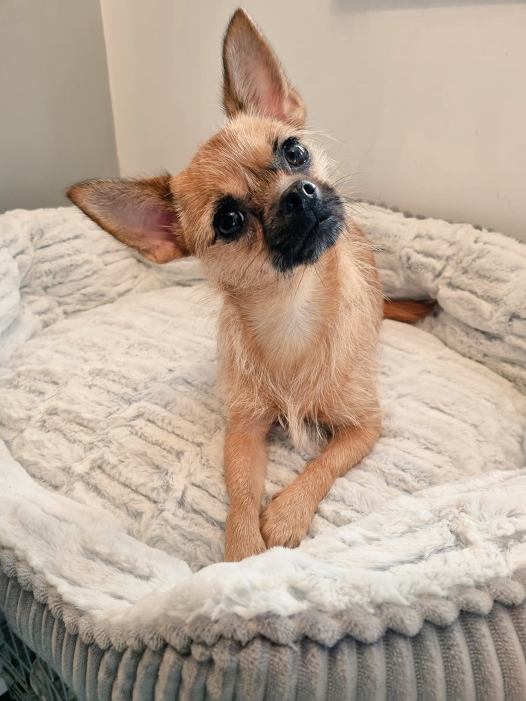 BurrettL🐝 | ⚡️ tweet media