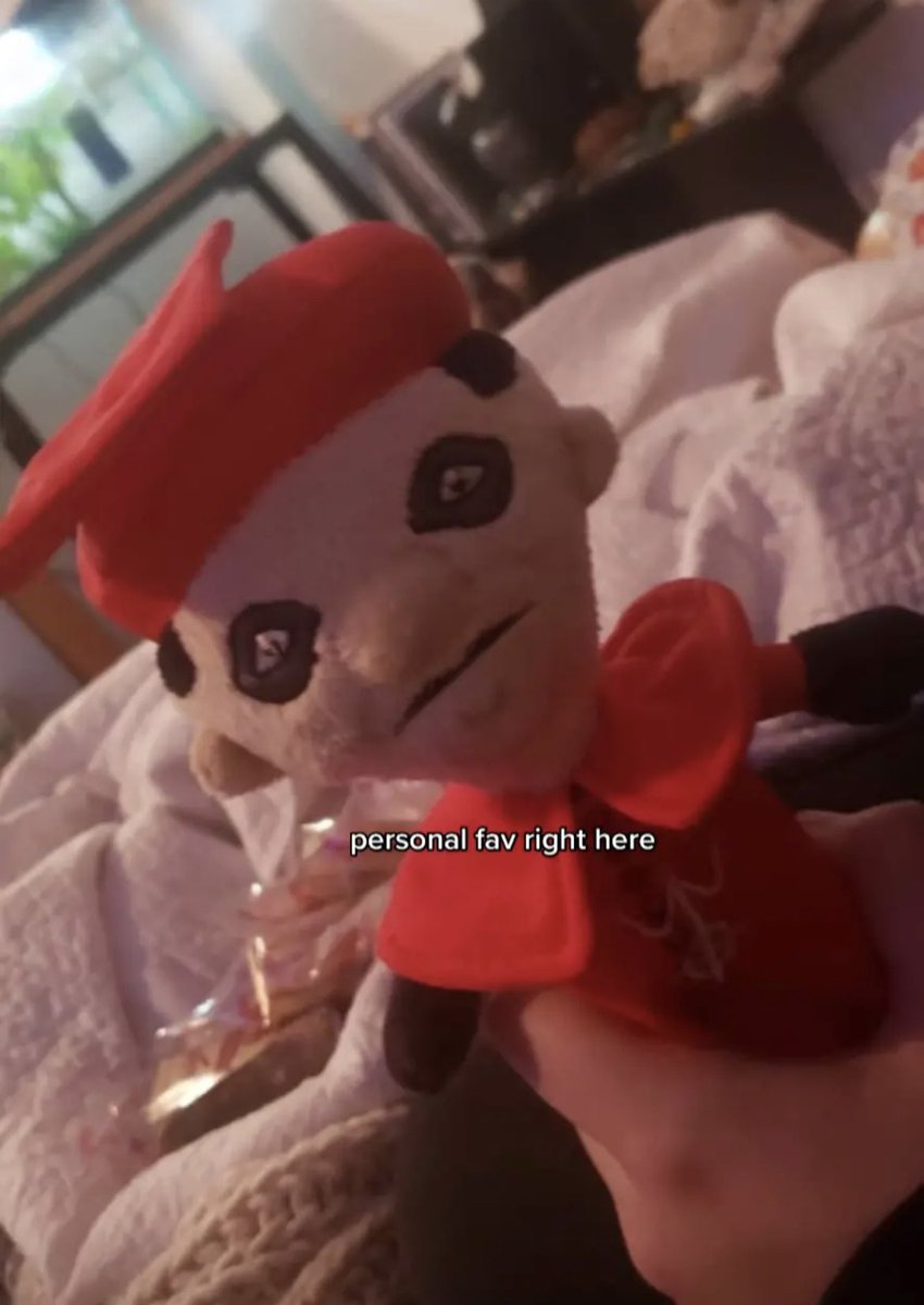 novaiisk's tweet photo. IM GONNA PASS OUT LOOK AT THIS PLUSHIA I FOUND ON TIKTOK https://t.co/HWHWk3BrZr