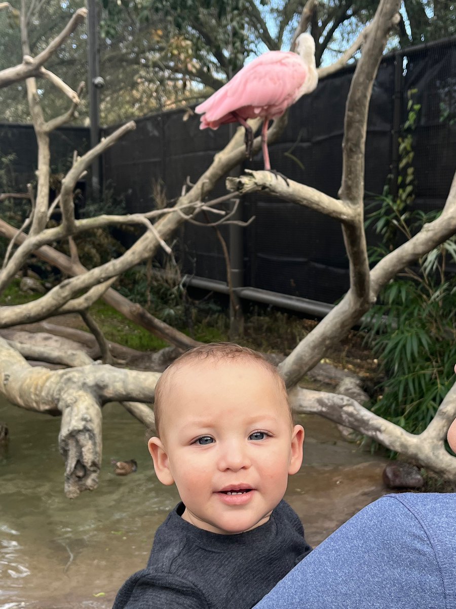 _zellers's tweet photo. Words can’t even describe how in love I am 🥺💙 https://t.co/WNn4mpxi0v