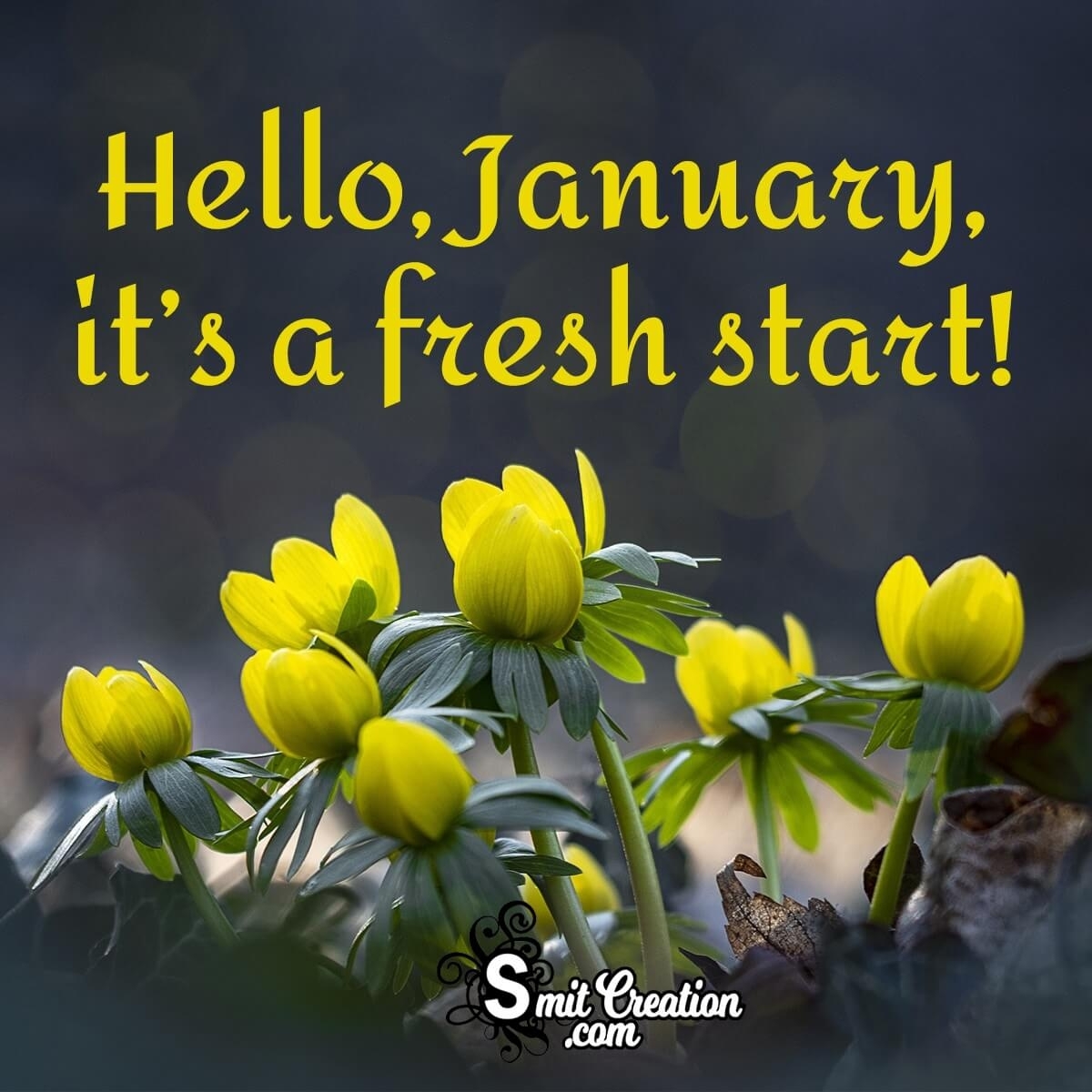 # Hello January
