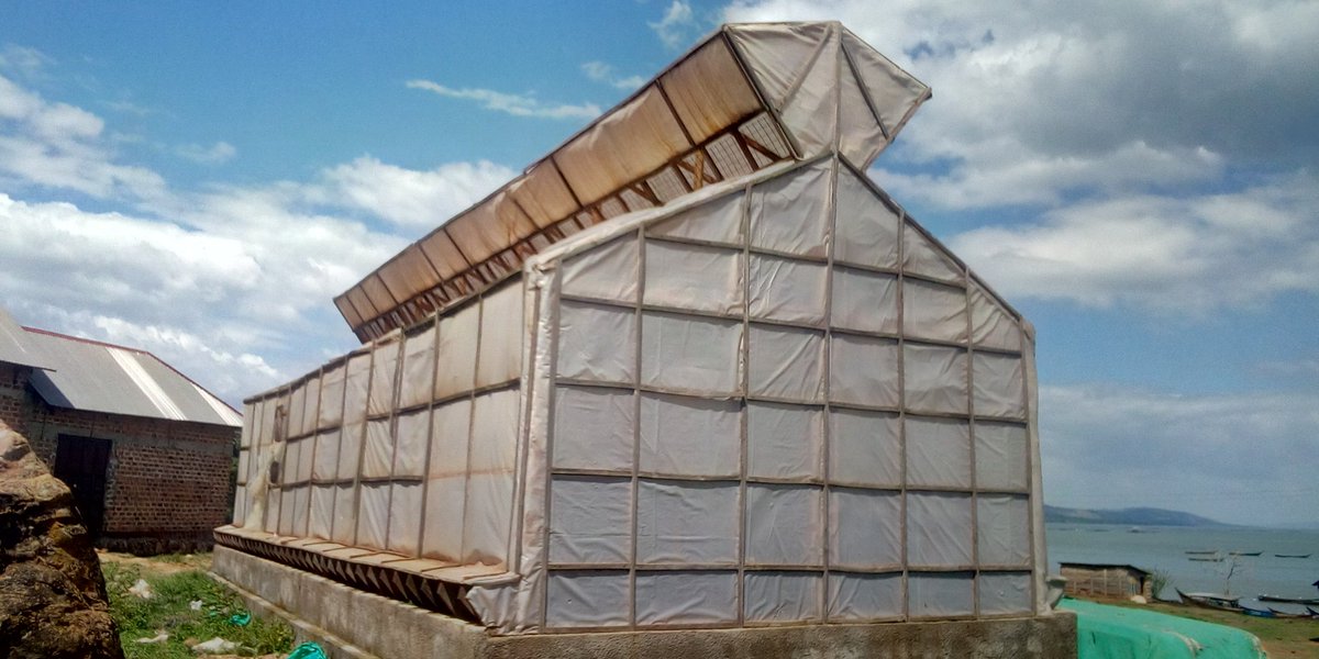 Nalapajimmy's tweet photo. Did you know?
1. Fish dried from solar dryers has away better quality in terms of scent, shelf life, dirt free etc
Visiting some of the landing sites on lake Victoria to see how we can revive some of the old solar dryers back to functioning. @aero_agro
#solardryers #fishdrying https://t.co/wjqlBu7vCo
