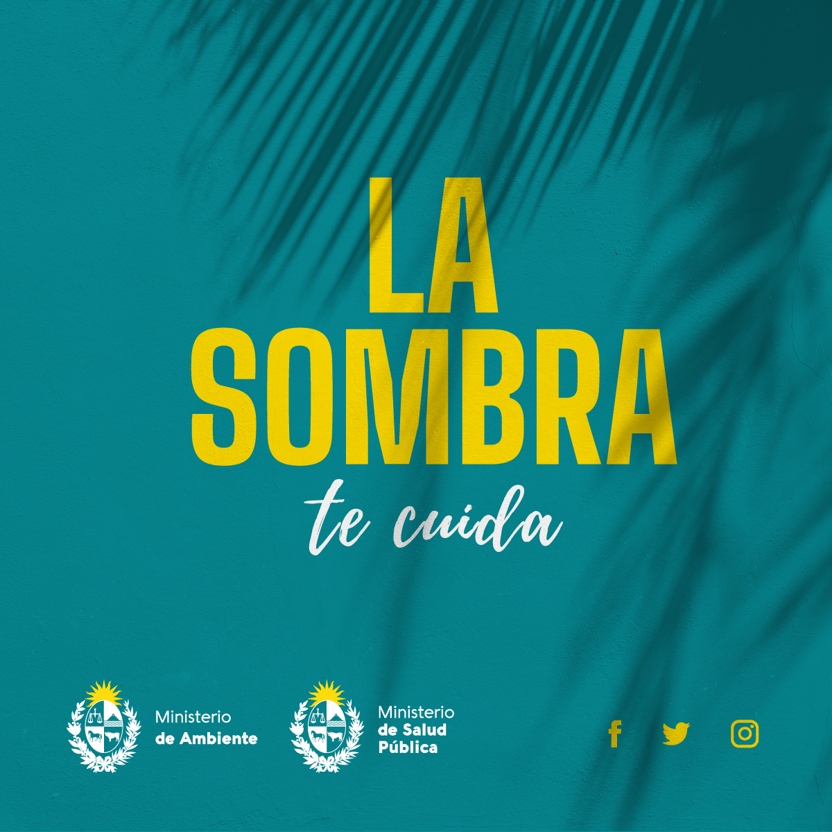 MAmbienteuy's tweet photo. ⛱️ 🌊 ☀️ 🌳 La capa de ozono es clave para estar protegidos de los rayos ultravioletas. Envuelve al 🌎 y deja pasar la buena energía del sol y además bloquea los rayos UVA/UVB tan nocivos para la salud humana.

¿Qué hacemos desde 🇺🇾 para cuidarla? 👉 https://t.co/NdsmIWH8sI https://t.co/VoeHfSV8Uh