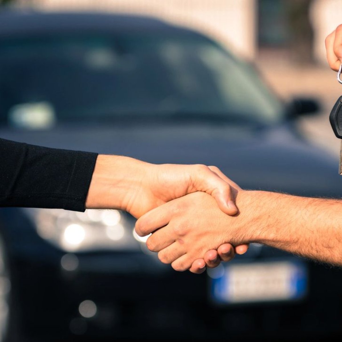 Brownie's Auto tweet media