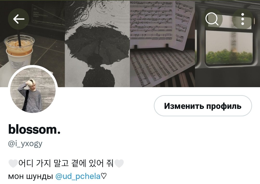 i_yxogy's tweet photo. новогоднее тепло💔 https://t.co/UiZiCAlmMF