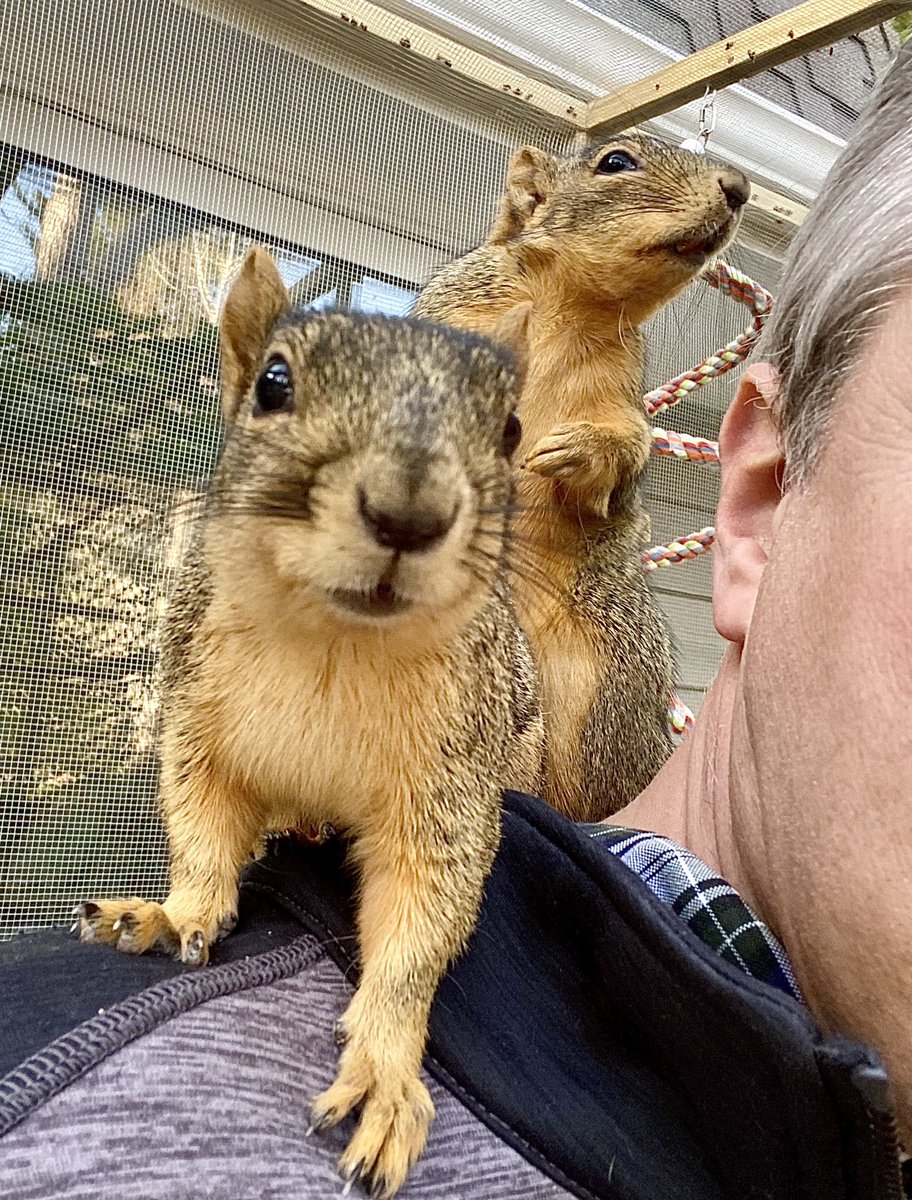 I read PESTS after raising and releasing two abandoned baby squirrels that I found in my yard (Tigg and Squirt Cobain). Such a wonderful book. Thank you on behalf of all the creatures. 

P.S. I am 100% Team F***ing Kevin. <a href="/BeeBrookshire/">Bethany Brookshire</a>