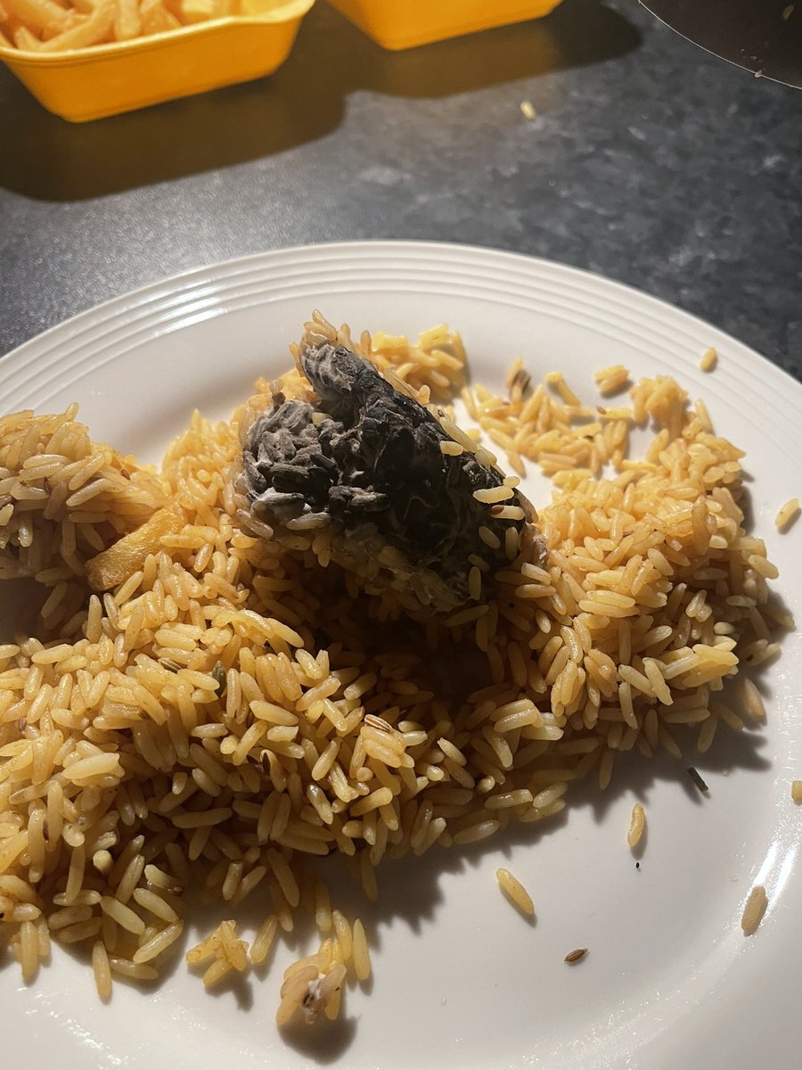ellyuletide's tweet photo. @AldiUK may need to check your pilau rice, bottom of the bag came out like this! No idea what it is, even though it’s not expired until 2024. Never felt so sick in my life and put me off my curry 🤢🤢🤢🤢 https://t.co/KcKWBlYQTV