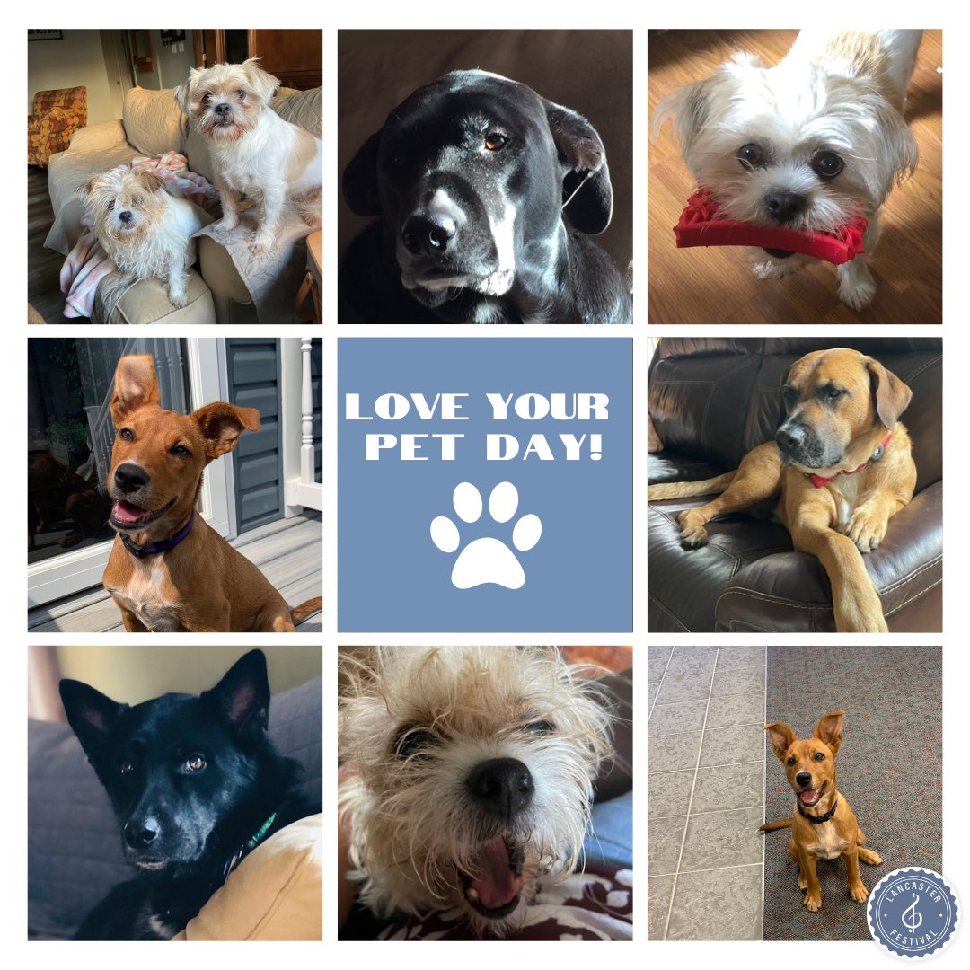 Lancaster Festival tweet media