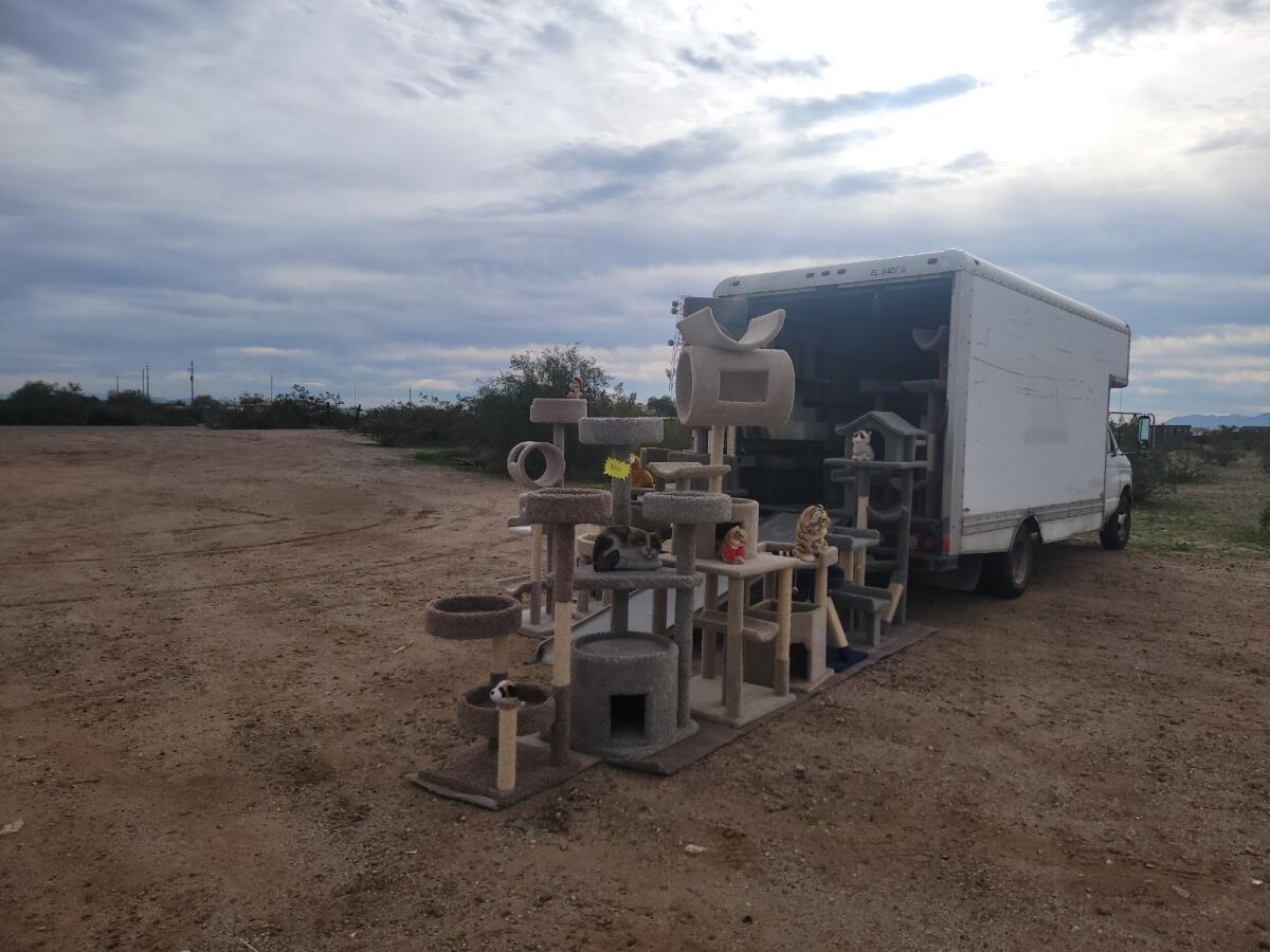 coolcatcondos's tweet photo. Since we've closed our shop in Phoenix we are now selling at this location for today only! This weekend you can find us in Yuma!

#coolcatcondos #catlovers #catfurniture #supportsmallbusiness https://t.co/y2HUq97OQ3