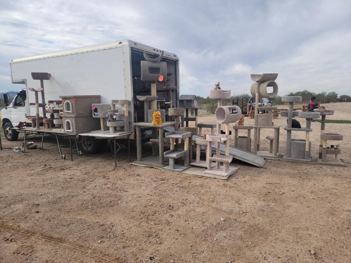 coolcatcondos's tweet photo. Since we've closed our shop in Phoenix we are now selling at this location for today only! This weekend you can find us in Yuma!

#coolcatcondos #catlovers #catfurniture #supportsmallbusiness https://t.co/y2HUq97OQ3