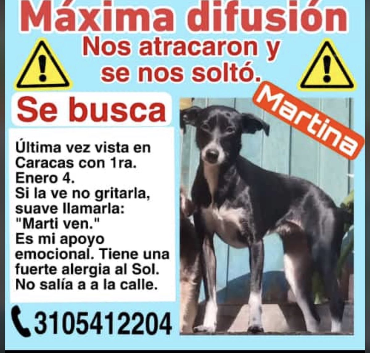 laurarubiogu's tweet photo. 🆘🆘 https://t.co/G7Uft7jrT6