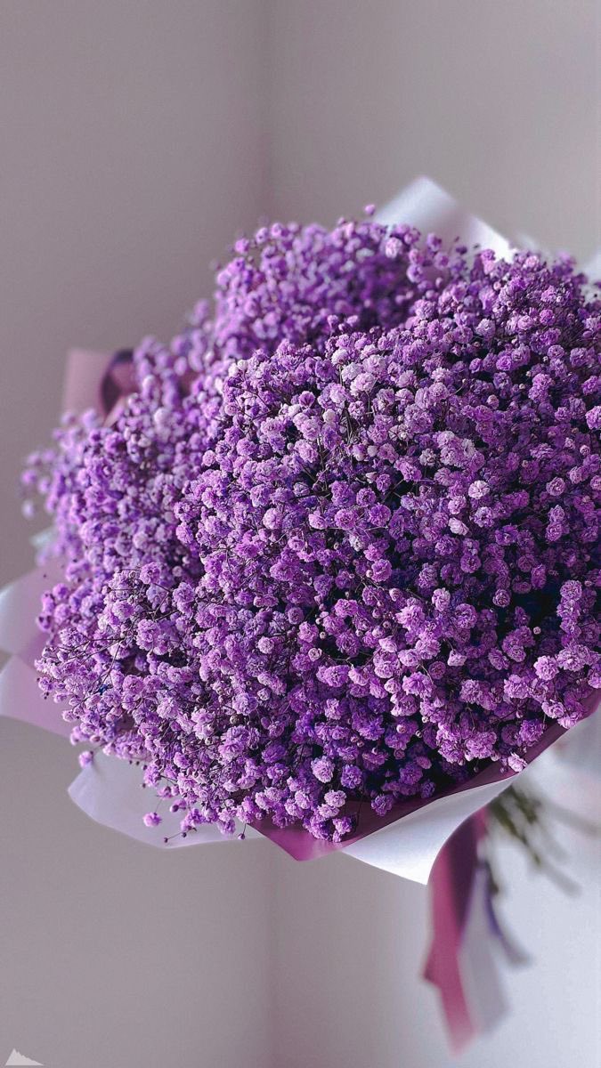 My_life_Violet's tweet photo. https://t.co/VccjqynJ4j