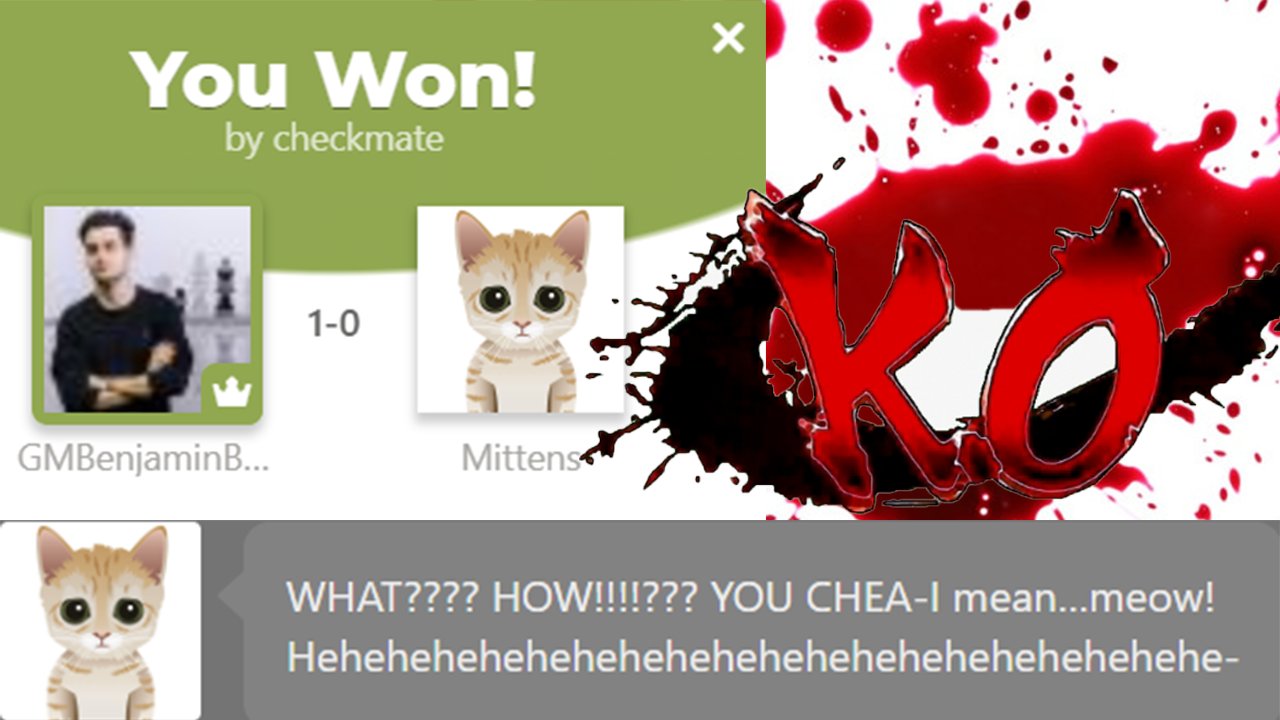 Mittens won't scare if you have ChessBotX! - Chess Bot