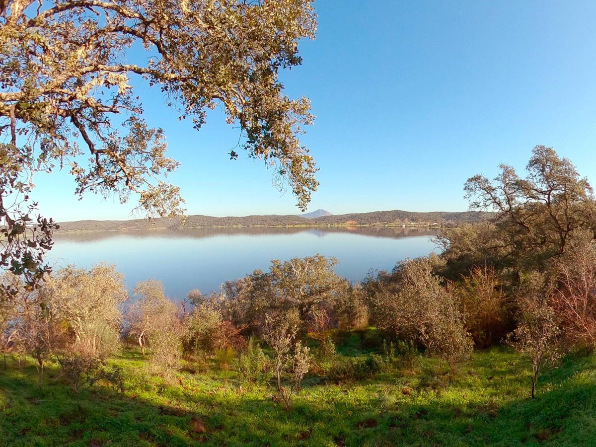 boomfestivalHQ's tweet photo. Beautiful @boomlandpt , surrounded by greenery and a lake full of water. At the moment the lake is 100% full, thanks to the rain. We will continue to take all possible steps to #SaveTheDrop. In this new year that begins, we appeal to all Boomers for + eco awareness. #BoomFestival https://t.co/bi9leolHnc