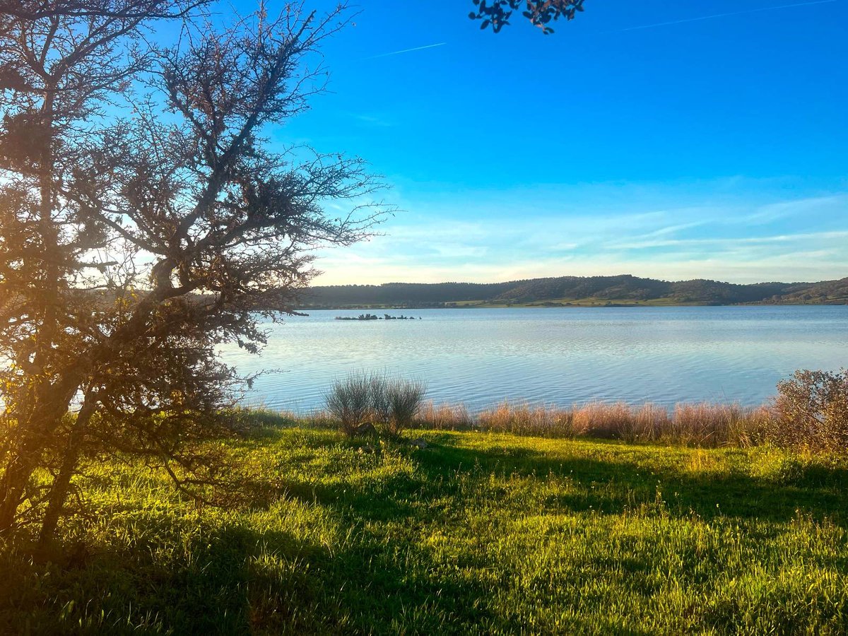 boomfestivalHQ's tweet photo. Beautiful @boomlandpt , surrounded by greenery and a lake full of water. At the moment the lake is 100% full, thanks to the rain. We will continue to take all possible steps to #SaveTheDrop. In this new year that begins, we appeal to all Boomers for + eco awareness. #BoomFestival https://t.co/bi9leolHnc