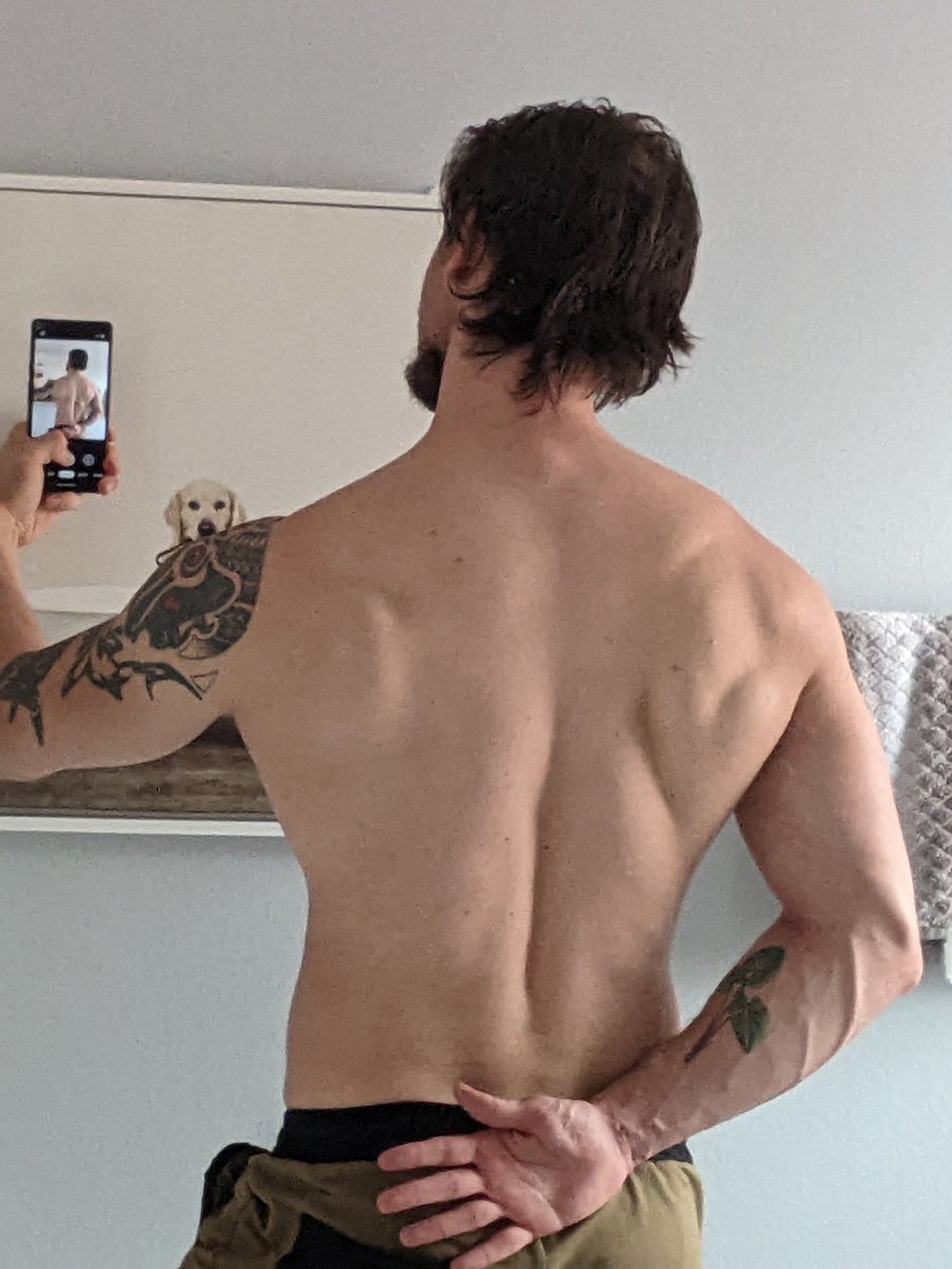 fwilde90's tweet photo. So this is what the view is like... Huh https://t.co/BCCGPWnMfG