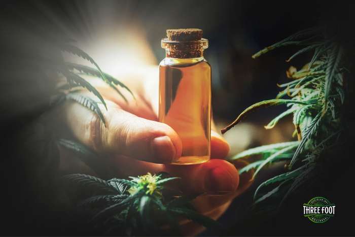 3footWellness's tweet photo. When Should You #UseCBD? 🤔👀
 
Many people assume that there is a perfect time of the day when they should take their #CBD so that they will get the maximum #benefit out of it. Factors that influence ... ⬇
#cannabis #cbduse #stress 

https://t.co/yHB8MjLxrH https://t.co/iLKrl9q34S
