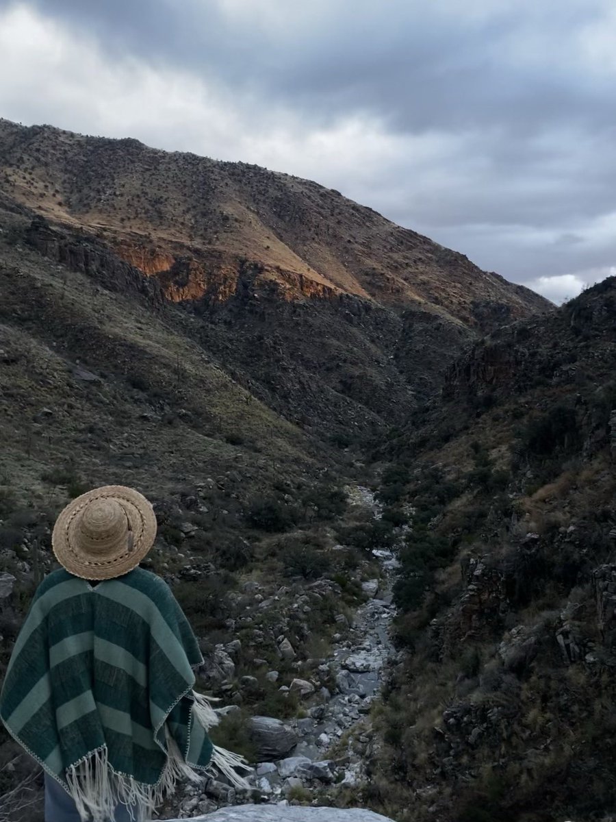 Bird Man tweet media