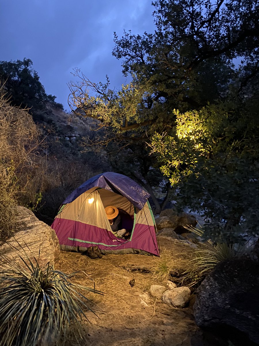 Bird Man tweet media