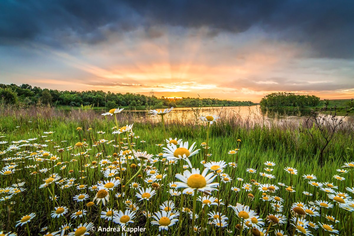 Nature_Indiana's tweet image. Conservation in Indiana is heading to the next level with the bold and decisive decision by @GovHolcomb to allocate $25 million for land conservation! Read TNC's statement at nature.ly/3GFjR39 #NextLevelAgenda #NextLevelIndiana