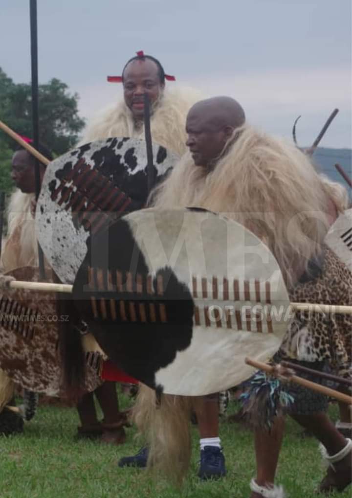 EFF_Swaziland's tweet photo. DD Mabuza is in Swaziland attending the sacred Incwala Ritual with Mswati. Note incwala is not a Swazi culture but it's a Dlamini Dynastys Ritual.
@Julius_S_Malema @FloydShivambu https://t.co/AbRYiCMd5a