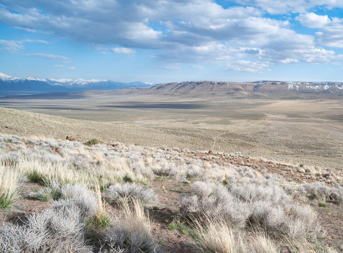 ProtectThPass's tweet photo. The Thacker Pass mine is based on lies and “greenwashing.” Lithium Nevada Corp is pretending that blowing up a mountain, destroying sacred sites, harming wildlife, and releasing hundreds of thousands of tons of greenhouse gas emissions annually is “green.” https://t.co/npr2iBIFBG