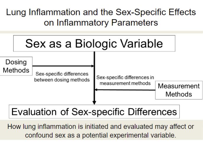 APSPublications's tweet photo. Comparison of Different Methods of Initiating #Lung Inflammation and the Sex-Specific Effects on Inflammatory Parameters (Mock et al. @UNC) - just accepted in @AJPLung
https://t.co/Fyl4CeyIad
#lunginflammation #acutelunginjury https://t.co/n4IzUSn1qI