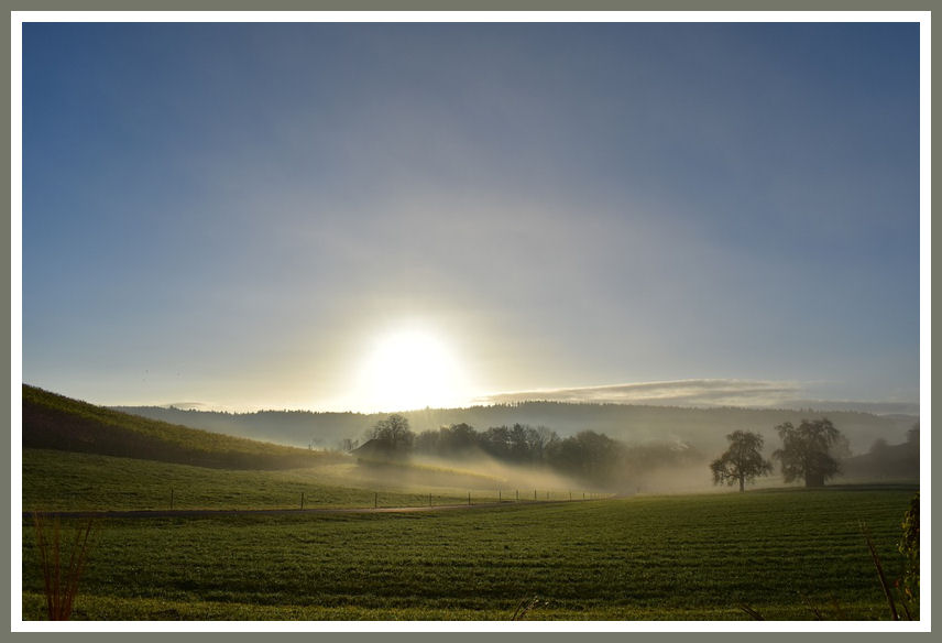 Contempler est une manière de prendre soin.
C'est casser tout ce qui en nous ressemble à une avidité, mais aussi à une attente ou un projet.

Christian BOBIN
In
Le Plâtrier Siffleur