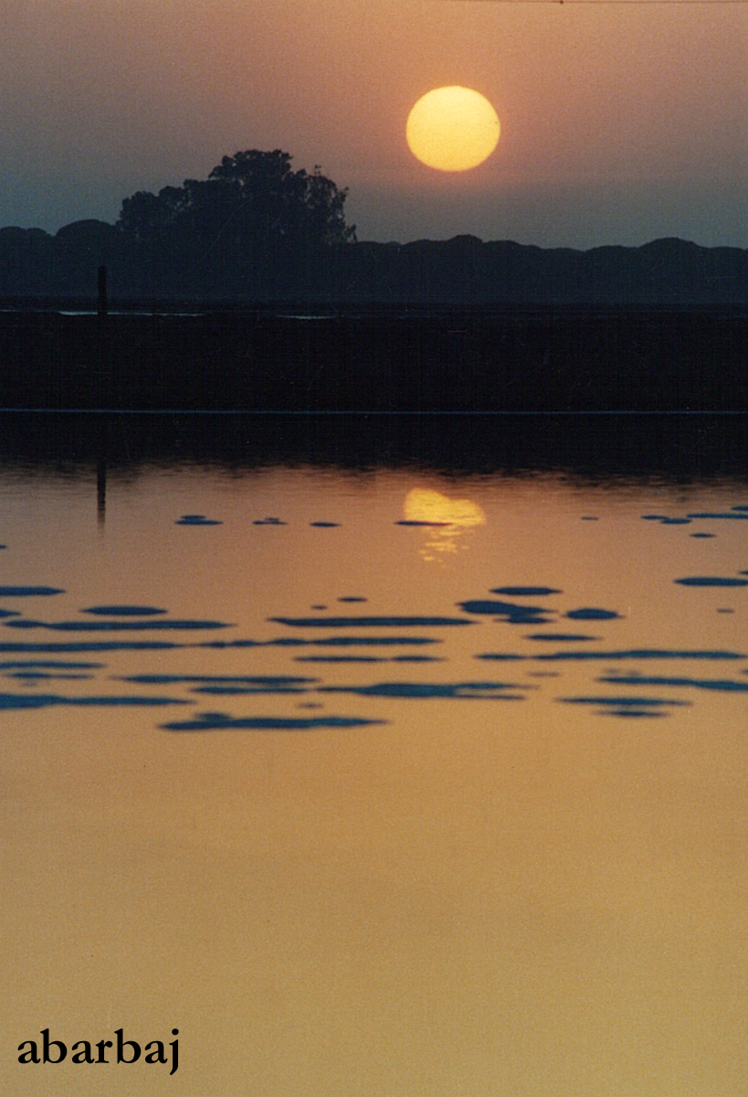 antoniobarbaj's tweet photo. Esta Puesta de Sol desde Sanlúcar de Barrameda que te pongo hoy es muy antigua, la hice con una cámara reflex, pasandola a papel y escaneandola, pero me encanta y tengo que aprovecharla.
#Sanlucar #Barrameda #SanlucardeBarrameda https://t.co/88vu91vMBl