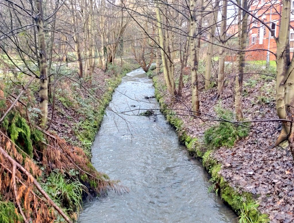 ProfJGrey's tweet image. Meanwood Beck is a curate's egg...
A selection of the downright ugly, just bad, and the (reasonably) good 
Hopefully @YorksWildlife plans to which @WildTroutTrust is contributing will lead to improvements
#fishpassage #TroutInTheTown