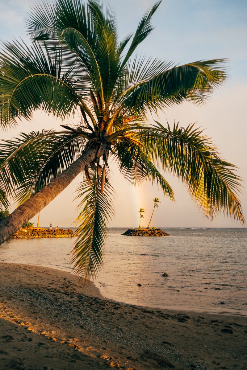 vincelimphoto's tweet photo. Aloha 🤙🏼 https://t.co/5YQyvuXP3c