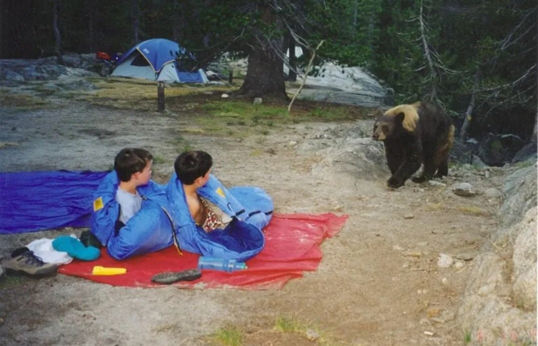 АЙМААР БИШ ГЭЖ ҮҮ!!!