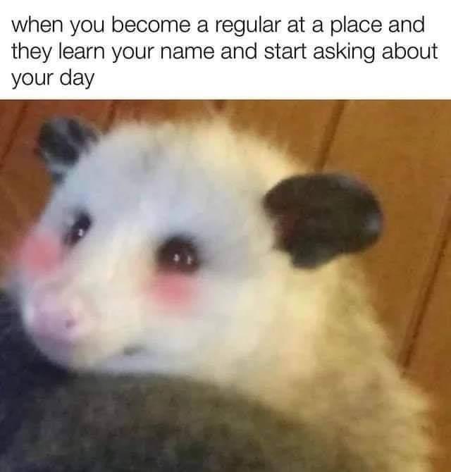 WholesomeMeme's tweet photo. https://t.co/q4gCmhXokO